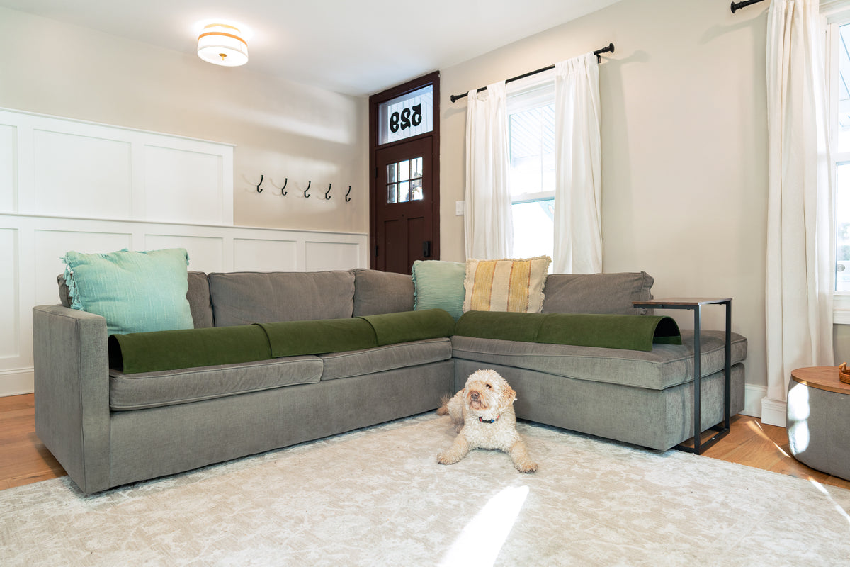 doggofffit-small_sectional-couch_protector-dog_on_floor-forrest_cover